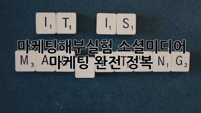마케팅해부실험: 소셜미디어 마케팅 완전 정복
